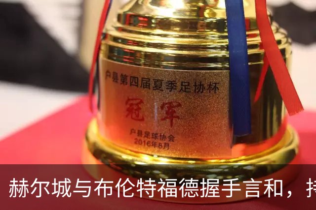 赫尔城与布伦特福德握手言和，持续六轮未胜